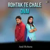 About Rohtak Te Chale Dwai Song